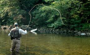 Fly Casting in Small Streams